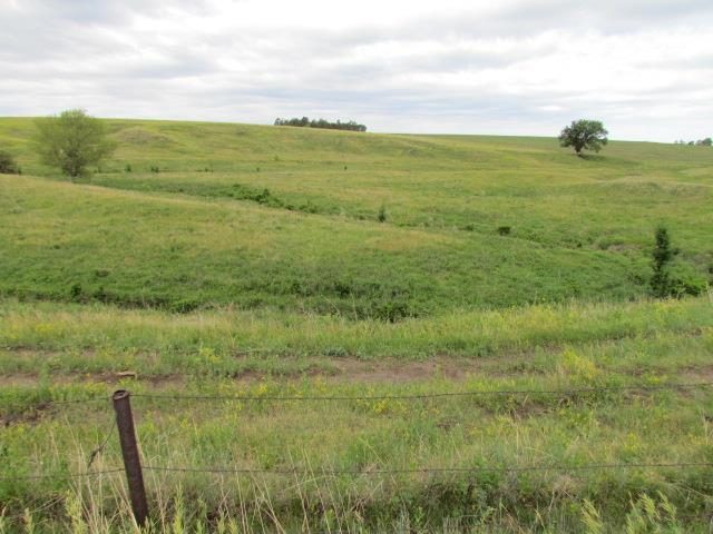 Riverdale, Nebraska Acreage/Farm Land for Sale - Mls #20220741