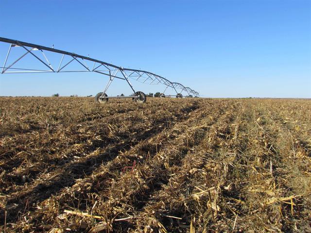 Farm Ground for Sale – Amherst, NE