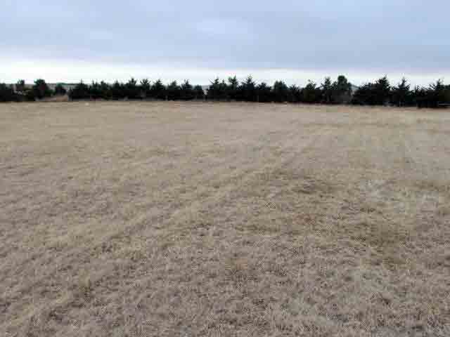 Grassland/Pasture Land for Sale – Amherst, NE